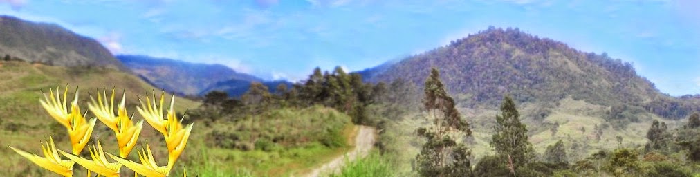 The Warakamb Valley, PNG