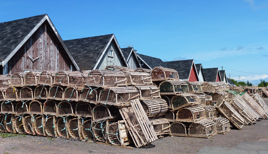 Occasional Toronto August 2012