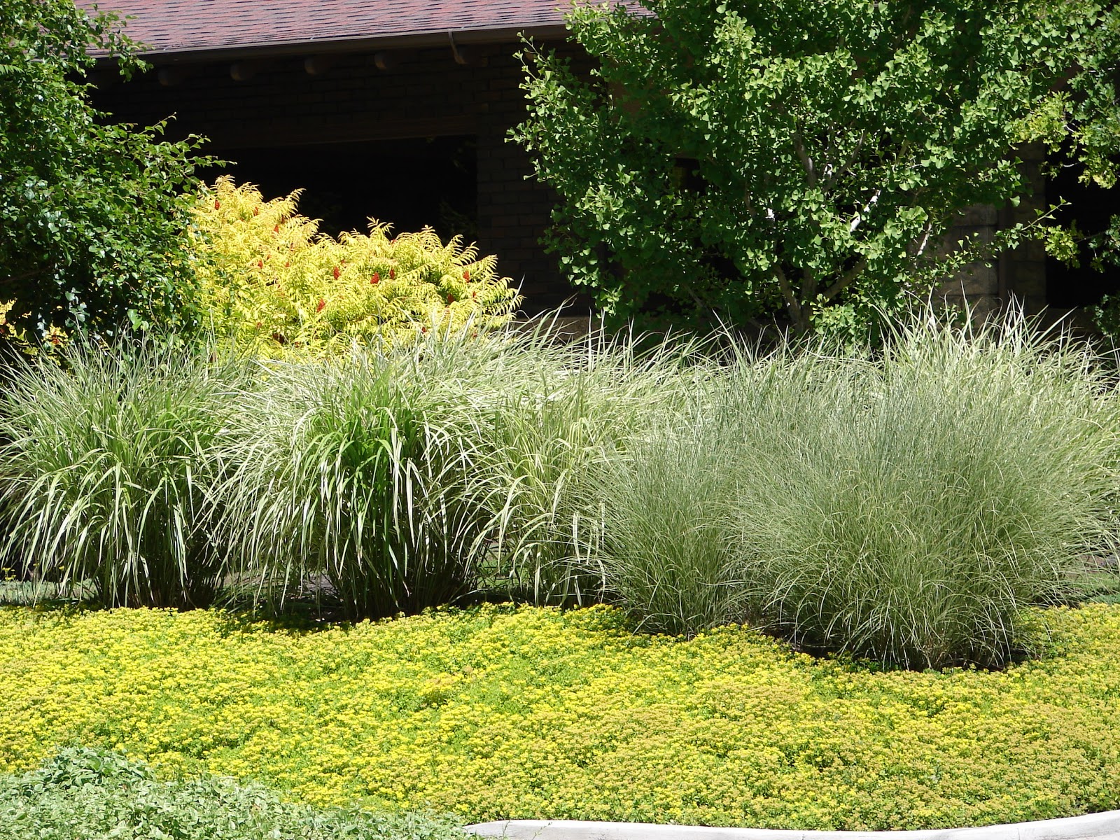 New Utah Gardener Waterwise Gardens In Utah