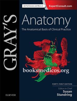gray libro de anatomia pdf