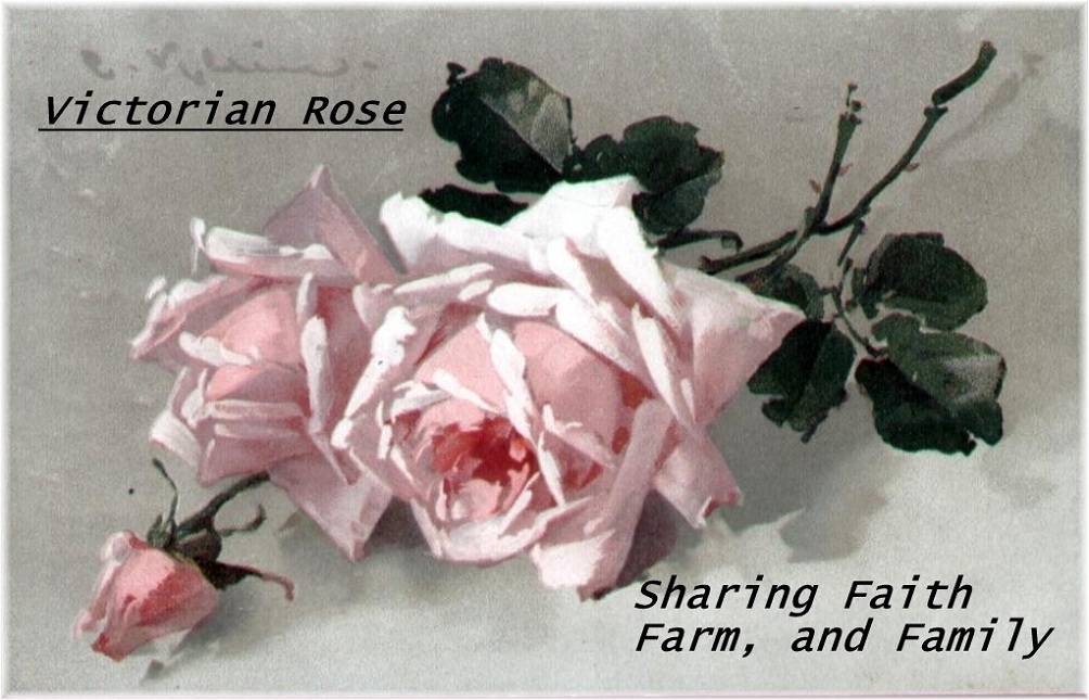 Victorian Rose