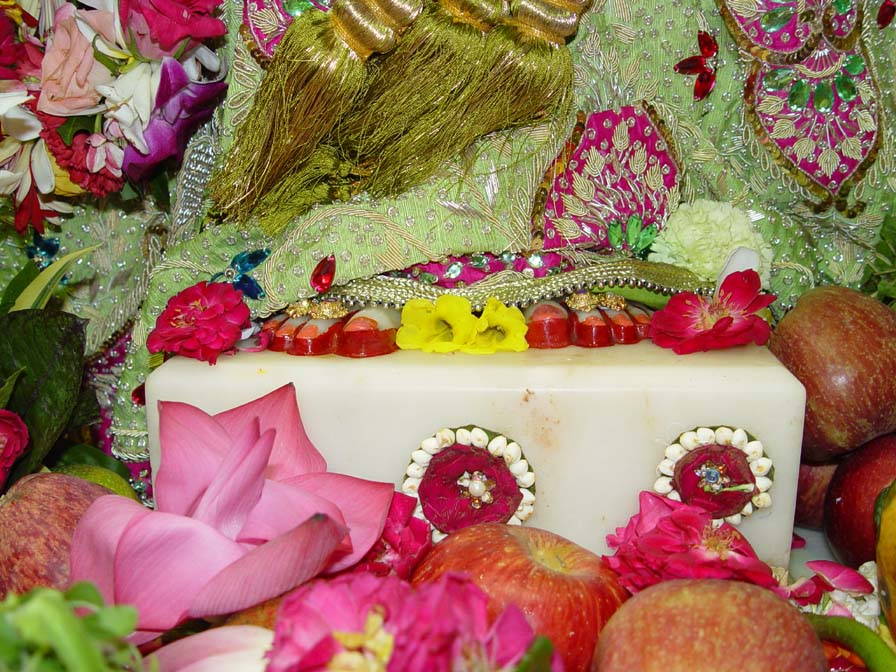 Radha Charan
