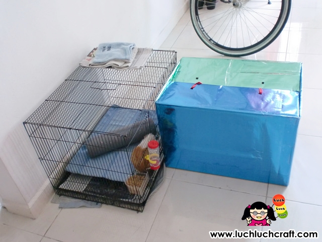 Diy How To Make Easy Guinea Pig House Luch Luch Craft Bloglovin