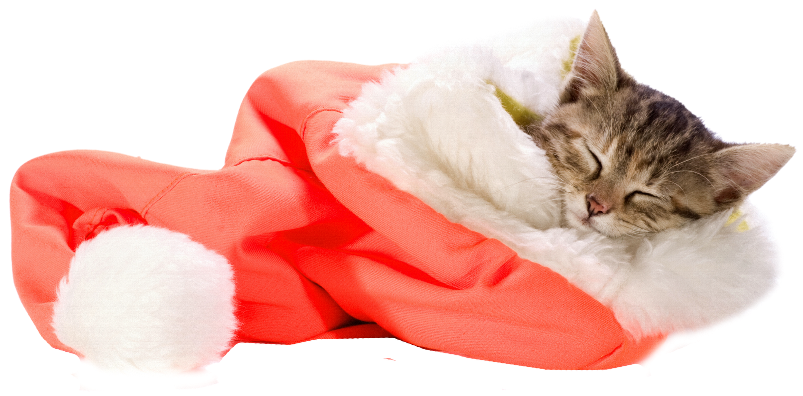 simple gift essay simple gift essay