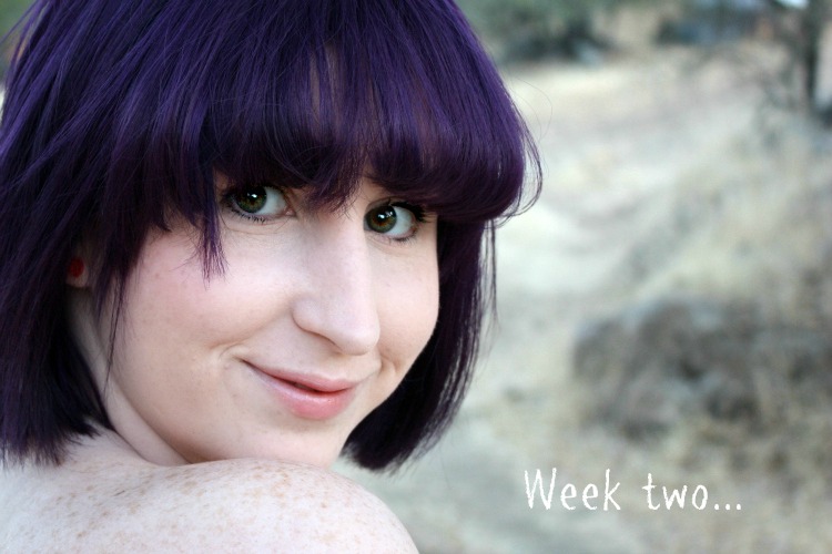 Caked Vintage: Beyond the Zone :: Purple Pion Recap Review