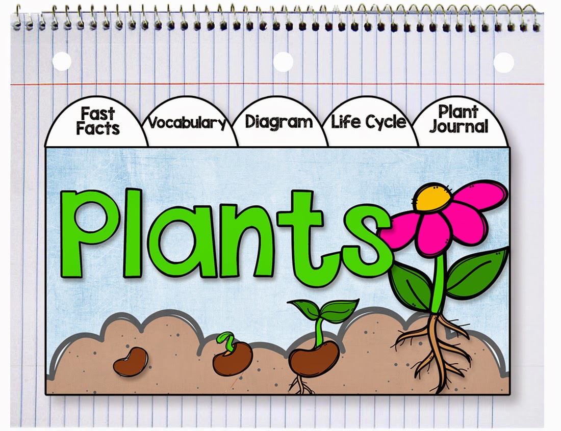 Primary Chalkboard It's Planting Time