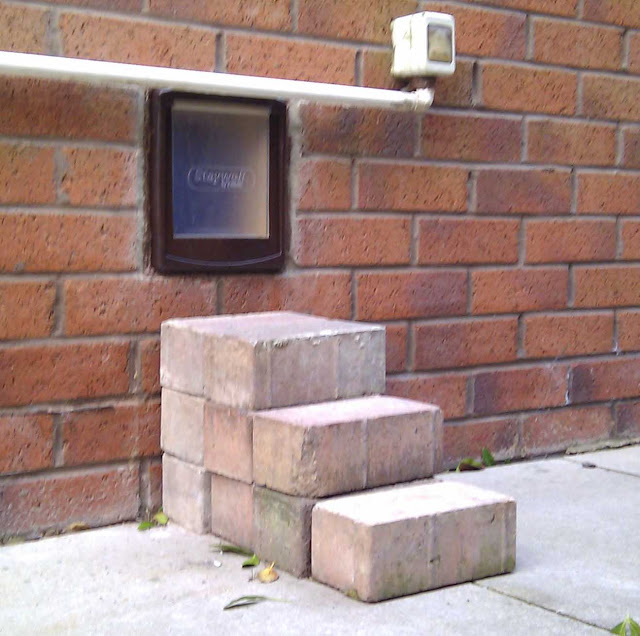 Fitting a Cat or small Dog Flap through a Wall in the U.K.