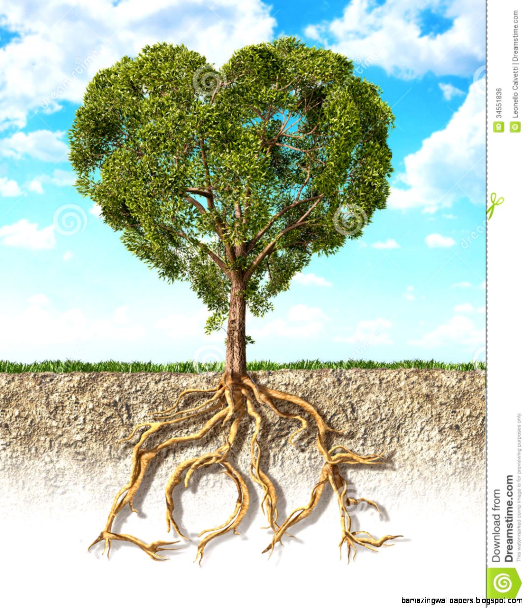 Cross Section Of Soil Showing A Tree Heart Shaped With Its Root Cross Section Of Soil Showing A Tree Heart Shaped With Its Root