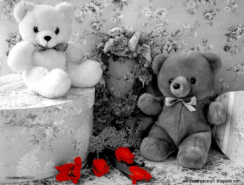 Blogs Photography Cute Teddy Bear Black and white wallpapers Blogs Photography Cute Teddy Bear Black and white wallpapers