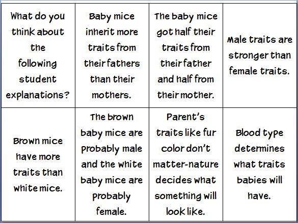 Worksheets Inherited Traits Worksheet pictures inherited traits worksheet kaessey