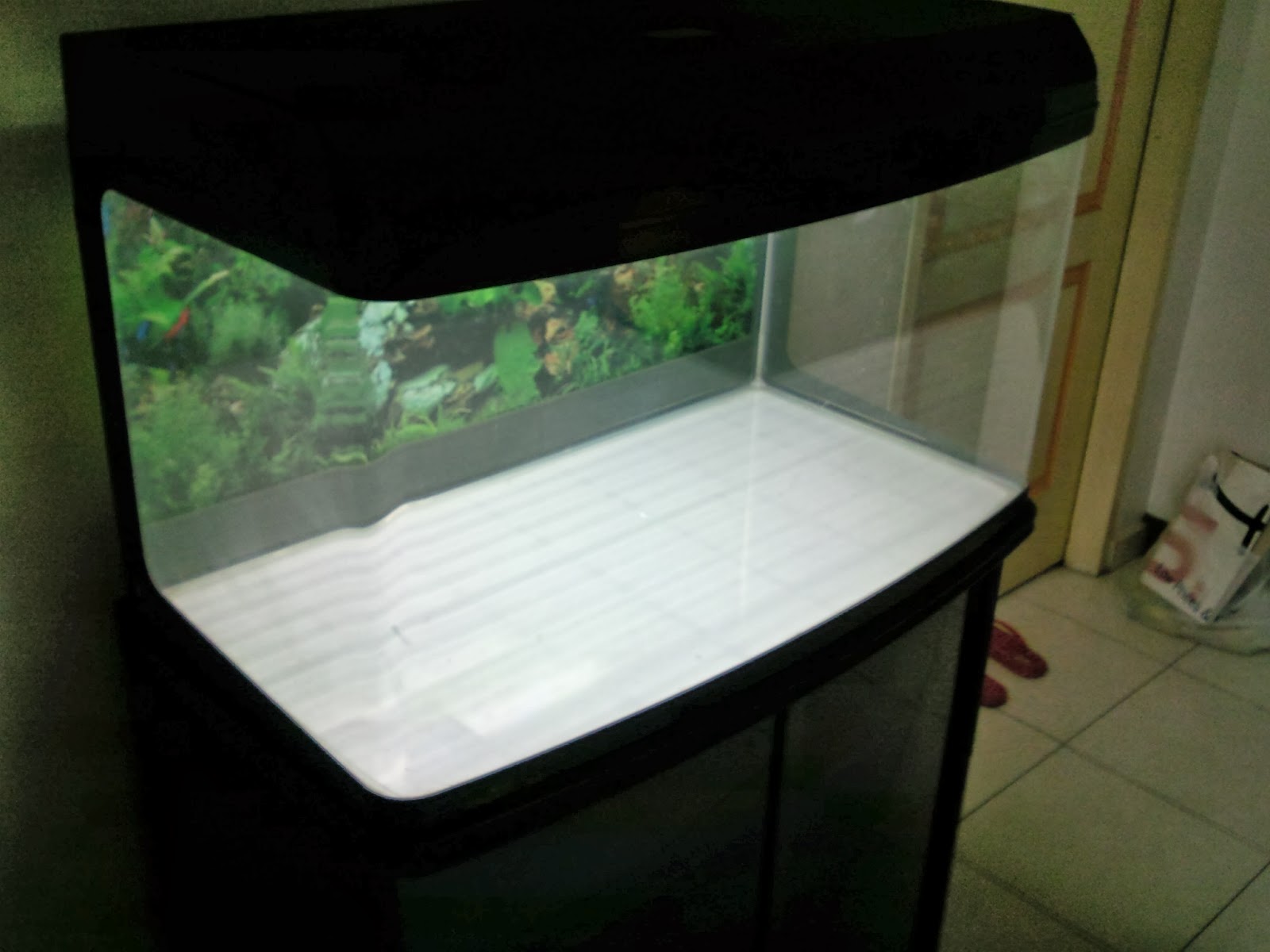Tropical Fisher Man Fish Tanks And Aquarium CRS 3 feet Fish Tank with