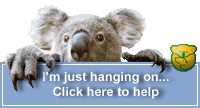 Please go and donate to help the koalas!
