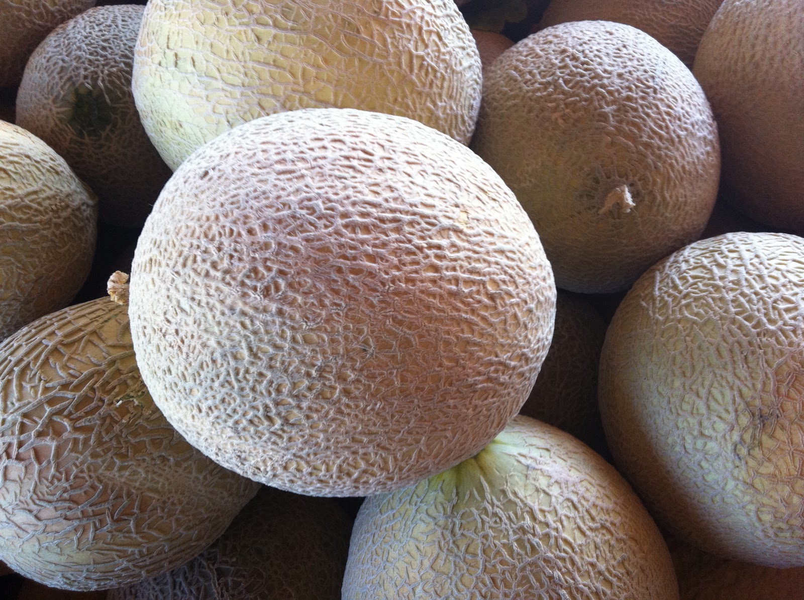 The PRODUCE BLOG by Rick Chong how to buy fresh fruit and vegetables...