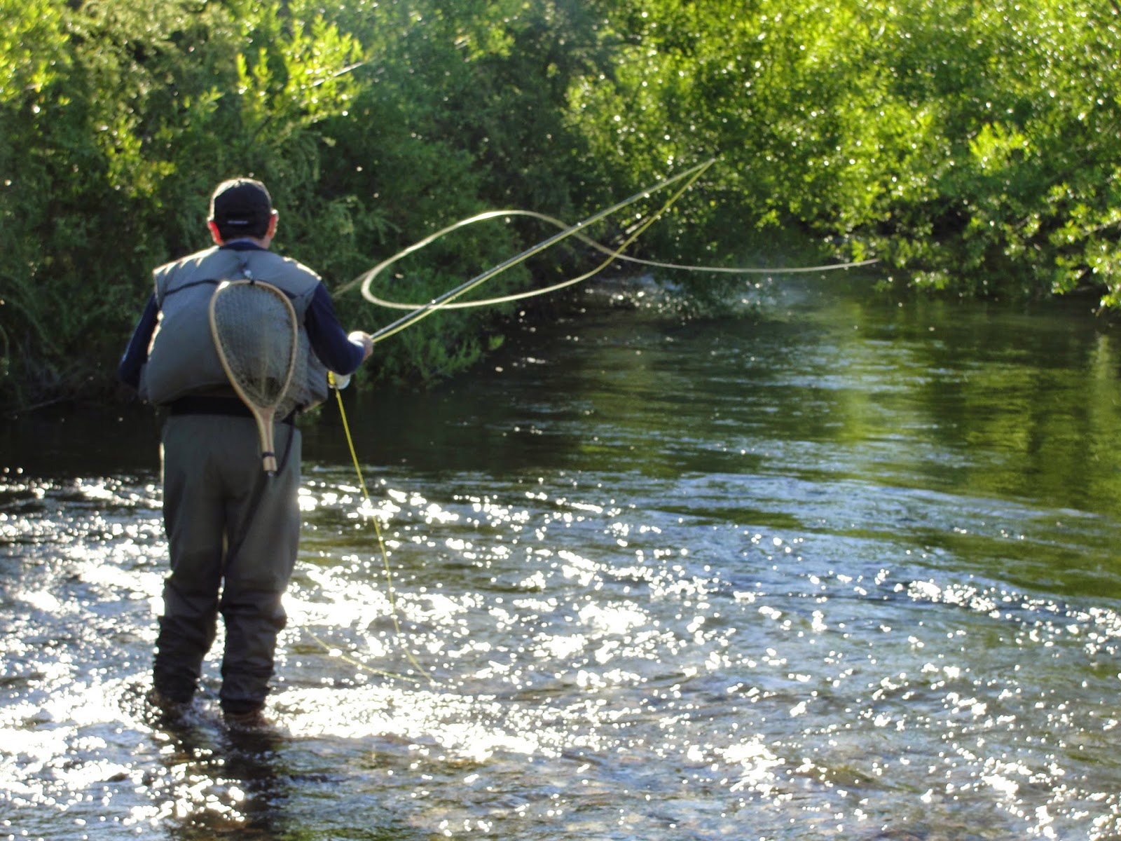 Las lineas en la pesca con mosca Revista Aire Libre