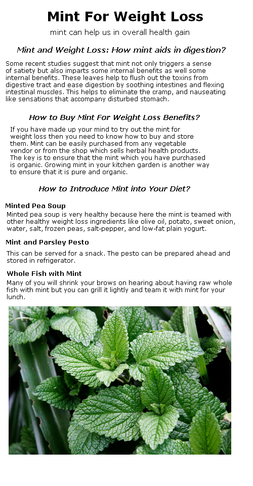 Mint for weight loss best solution Th3top