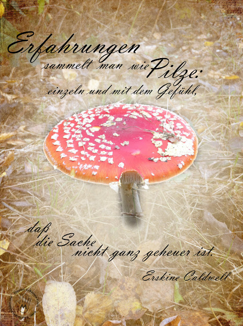 Mikrokosmos Spruch Der Woche 237