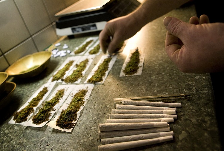 Us, the George bush smoking pot stormy