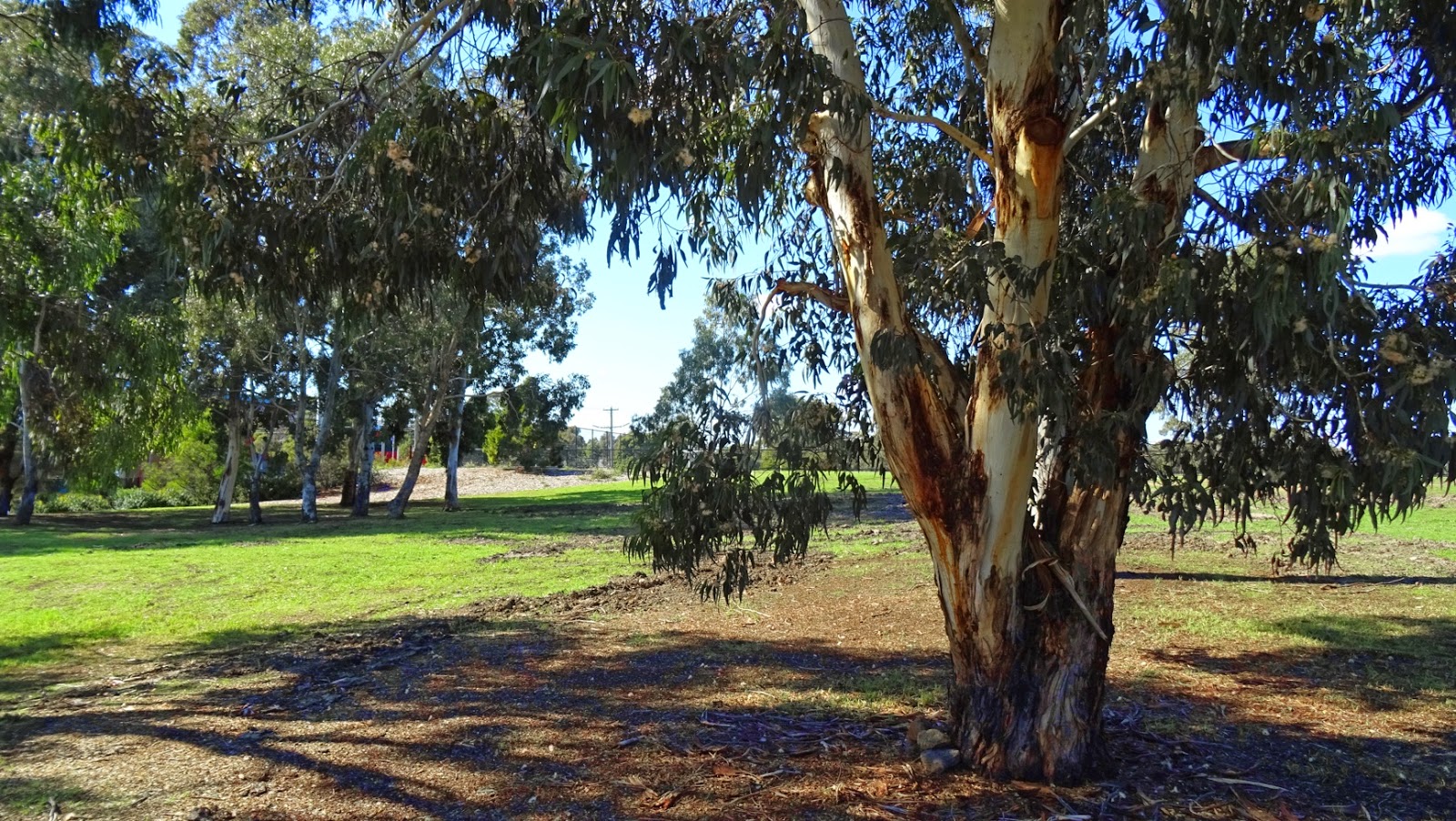 Gumtree Melbourne Australia at Peter Sinkler blog