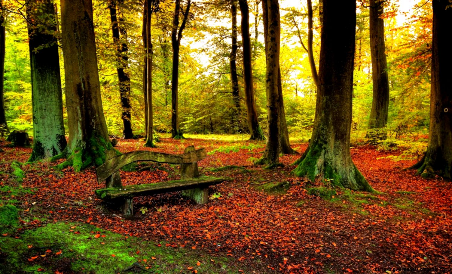 Beautiful Nature Wallpapers Beautiful Nature Wallpapers