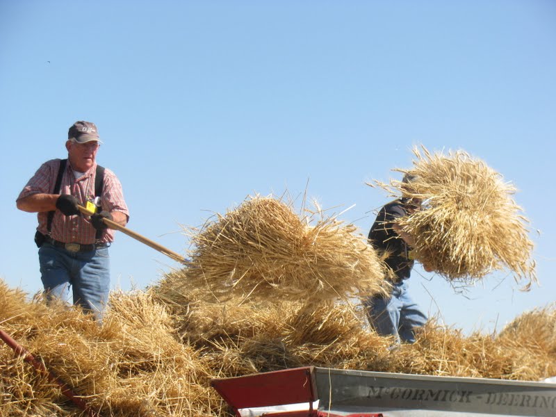 BLD in MT Living a Simple Life in This Interconnected World