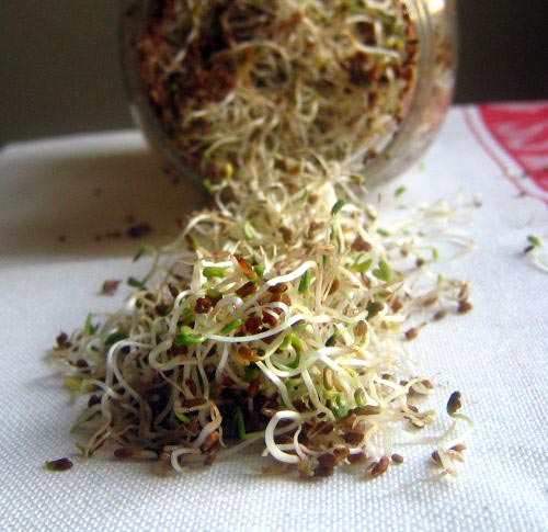 Sprouting was on my list