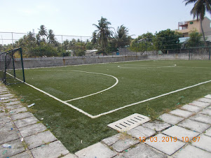 Close-up view of the well maintained "Astro Turf Football Ground" .