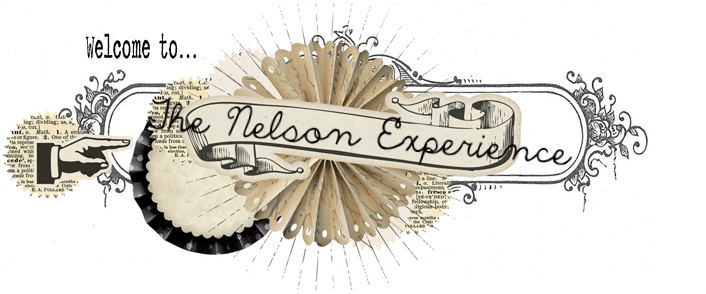 The Nelson Experience