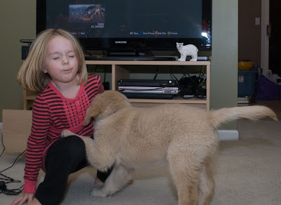 The blond five-year-old is sqatting with eyes closed, her right hand reaching for the floor for balance. The 10-week-old Golden Retriver puppy has one front paw on her knee. He might have just given her a puppy lick!