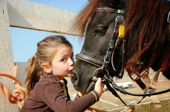 When Humans and Animals Get Along