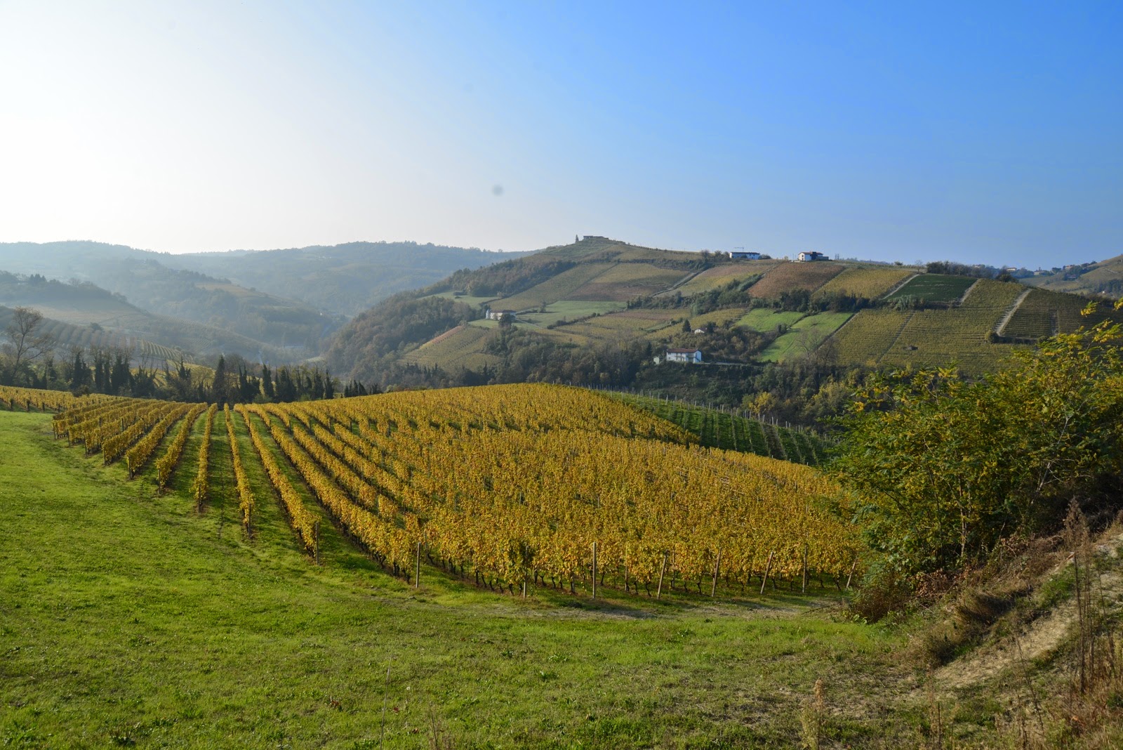 Journey to Piedmont The Land of Truffles and Wines Joie de Vivre