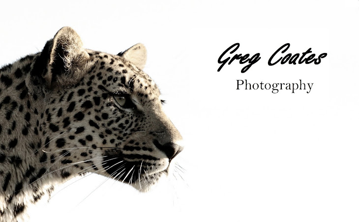 Greg Coates Photography
