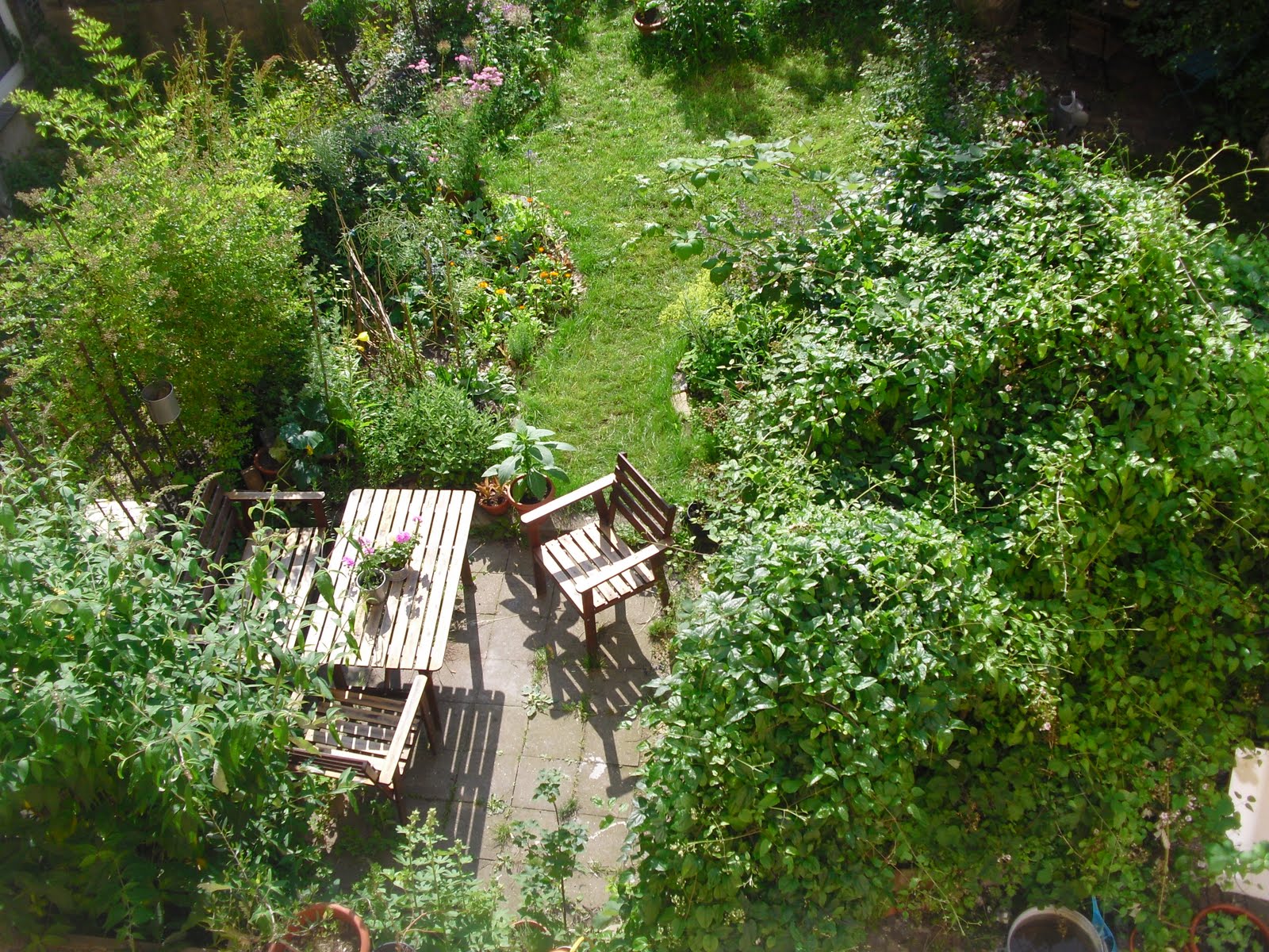 Mauerblumen: Juli 2011