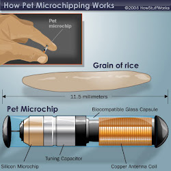 Microchip R.F.I.D.