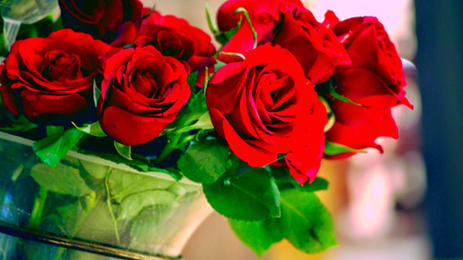 Lilith's Seventh Featured Herb Rose