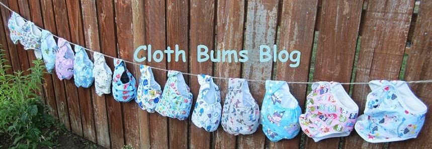 Cloth Bums Blog