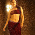 10 Tamannah Bhatia Hot Stills from Bengal Tiger