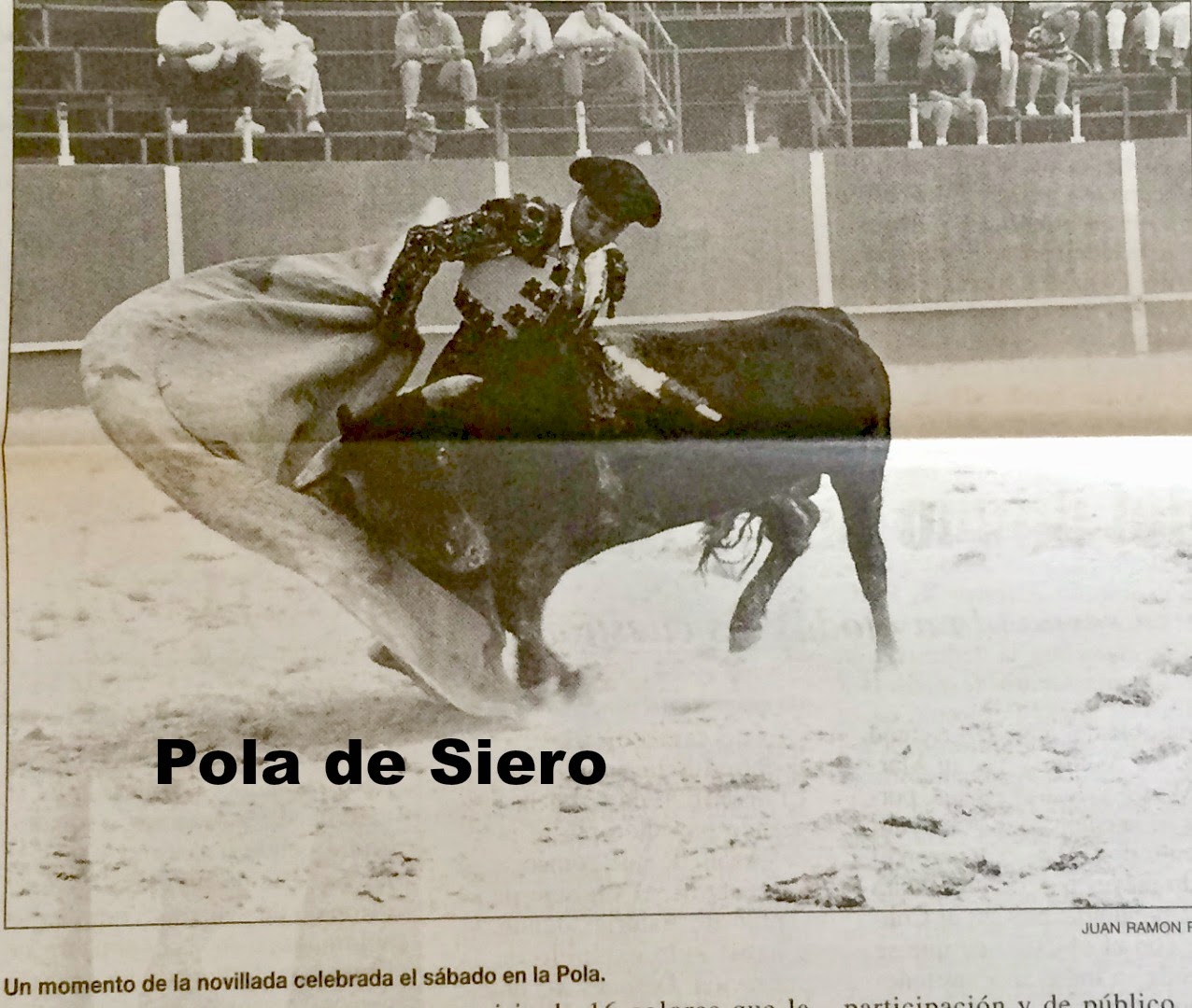 POLA DE SIERO TOROS