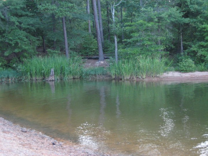 Jordan Lake Catfishing Report