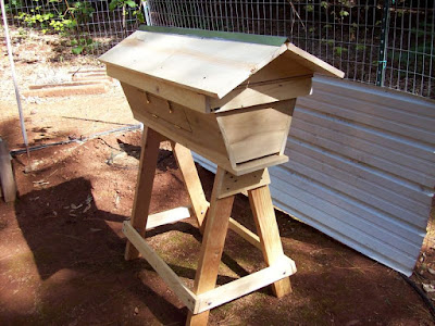 eight acres: getting started with beekeeping - with Making Our Sustainable Life