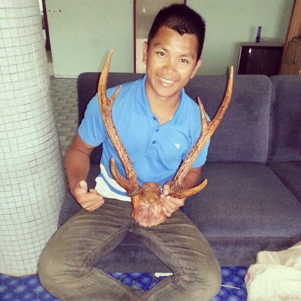 Hindi Movie List Latest Bollywood Movies New Hindi