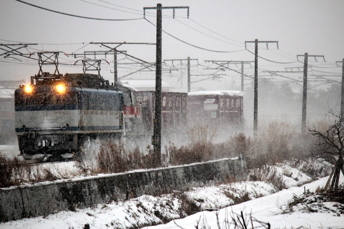 Train Time 鉄道雑学控 Ef81 453 De10 1676