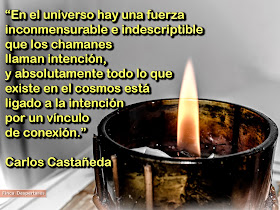 Finca Despertares - Carlos Castañeda