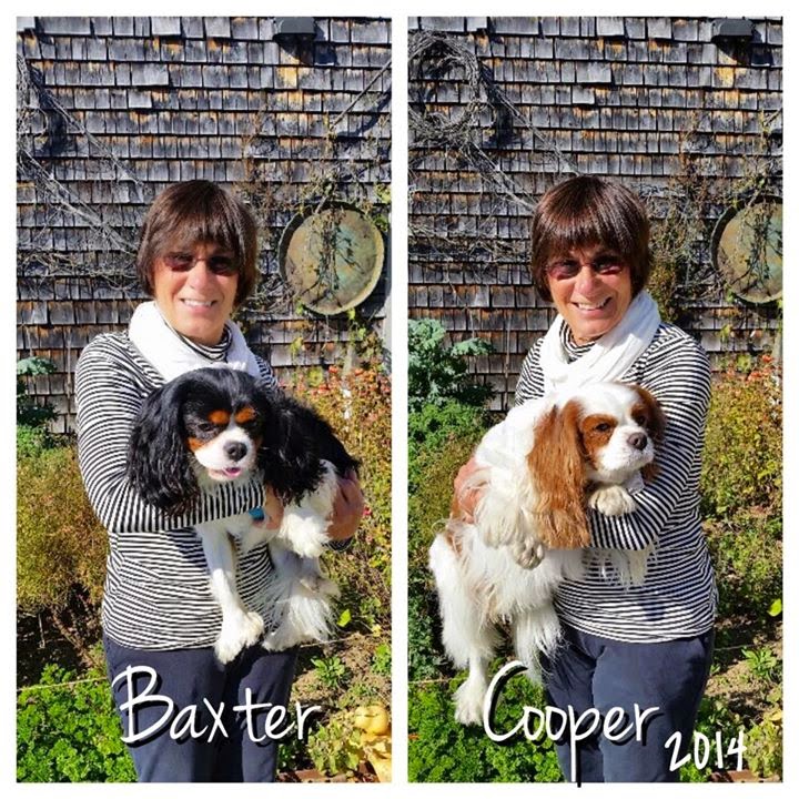 Joni with Baxter & Cooper
