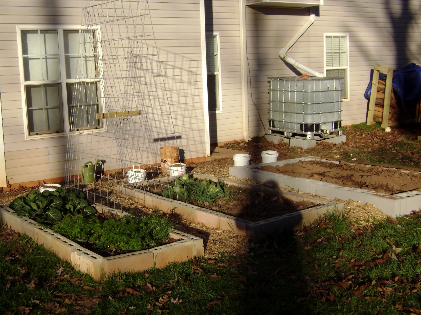 Backyard Homestead Starts