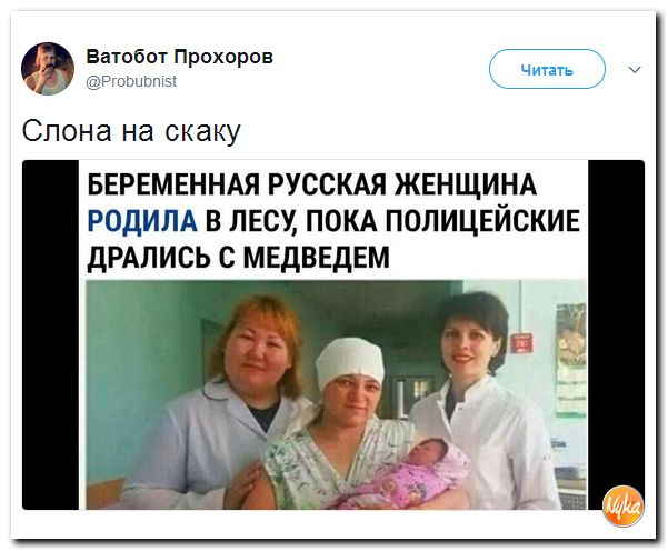 Беременная девушка родила в лесу пока полицейские дрались с медведем 47