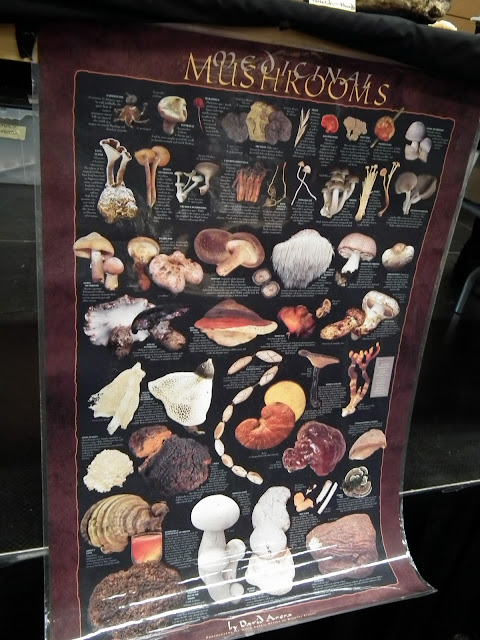 Medicinal mushrooms poster - Vancouver mushrooms show