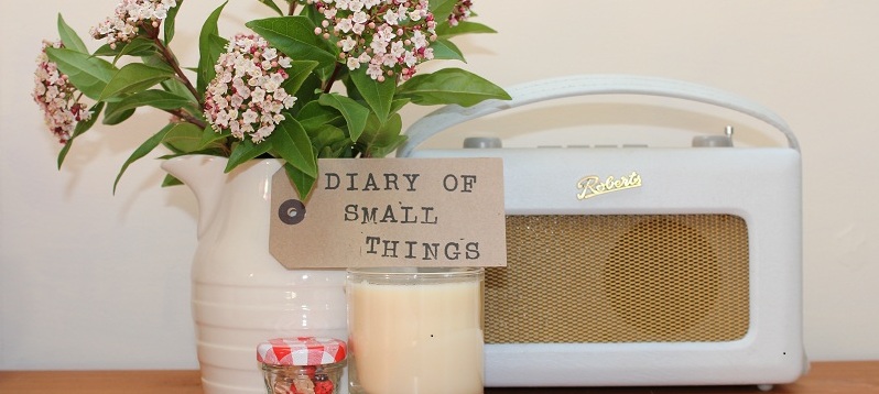 Diary of Small Things