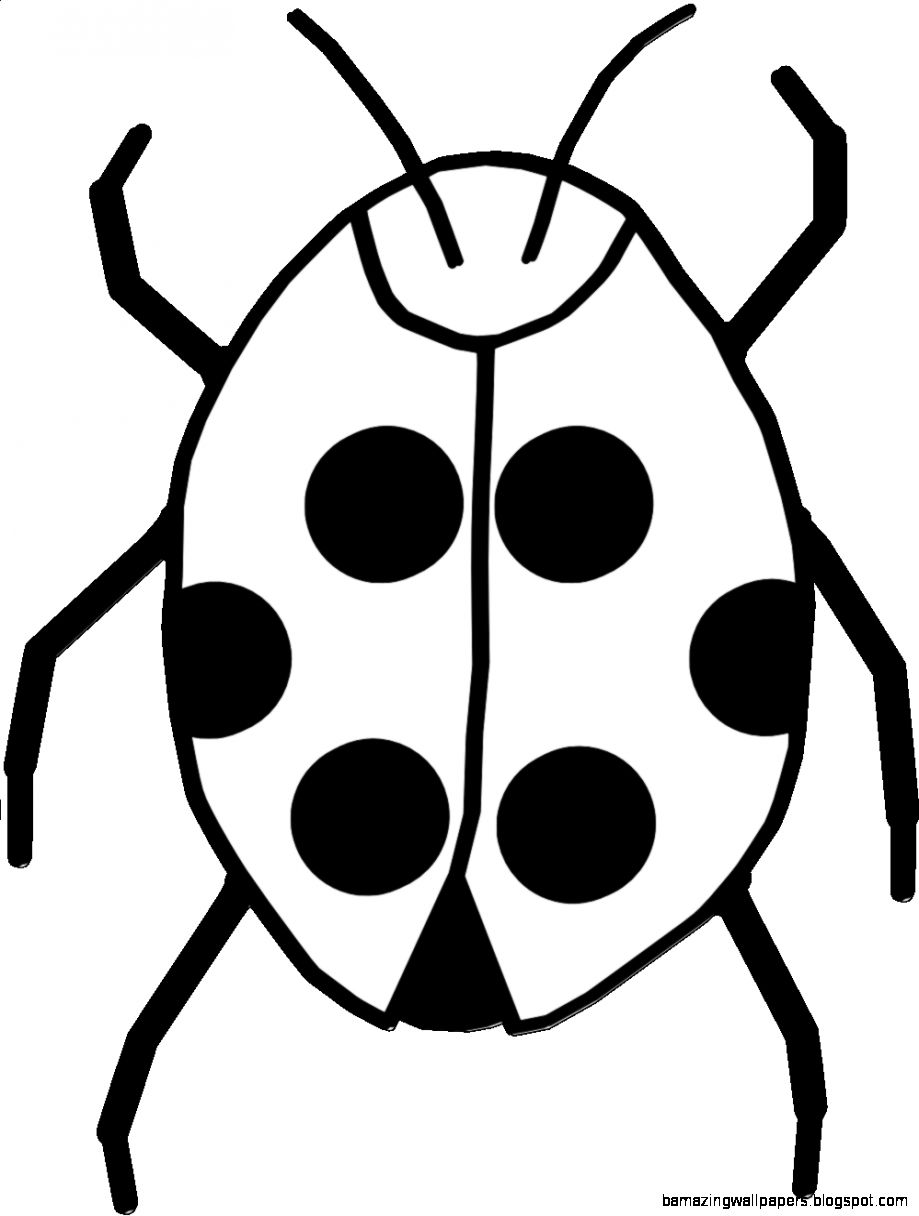 Ladybug Clipart Black And White Clipart Panda Free Clipart Images Ladybug Clipart Black And White Clipart Panda Free Clipart Images