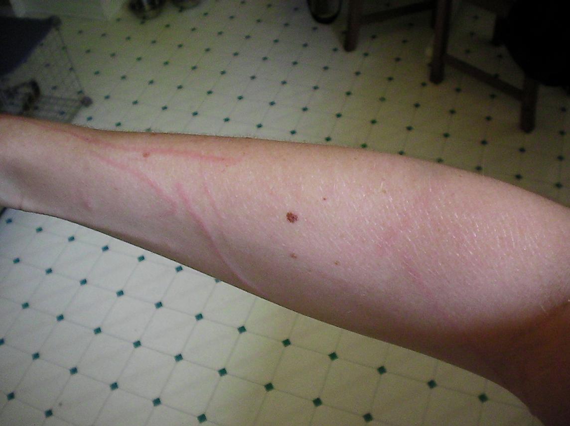 Seriously??... Reeeally?... Seriously? Just Call Me Cruella...