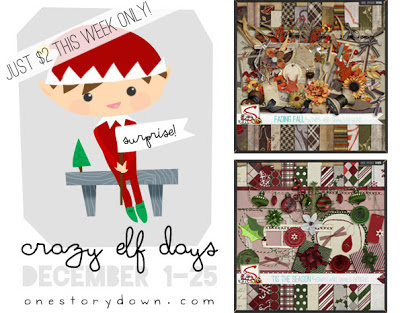 Crazy Elf